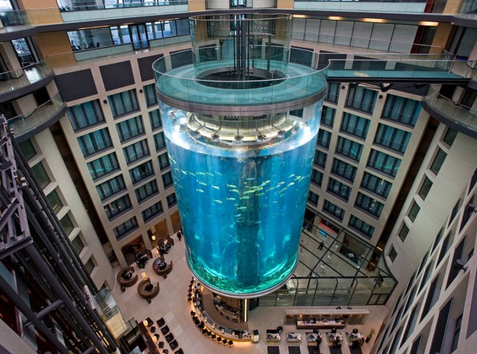 世界上最大的鱼缸吉尼斯纪录,世界上最大鱼缸造景