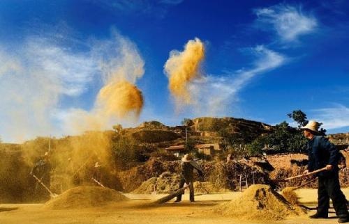 秋天的怀念，文/高令亚