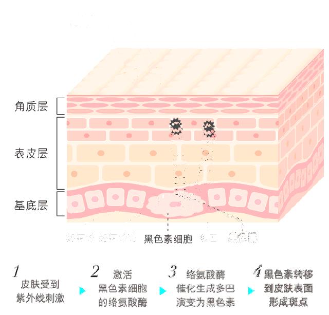 隔离洗完脸能直接涂吗,做完清洁脸可以涂隔离吗