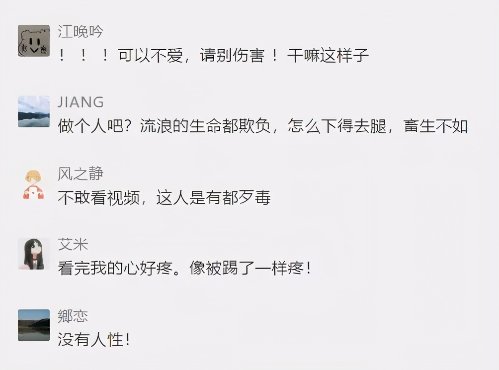 男子当街踢死小猫后续上海,小猫被小男孩虐待暴打