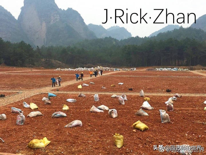 怎么种植草坪不长杂草,如何养好草坪