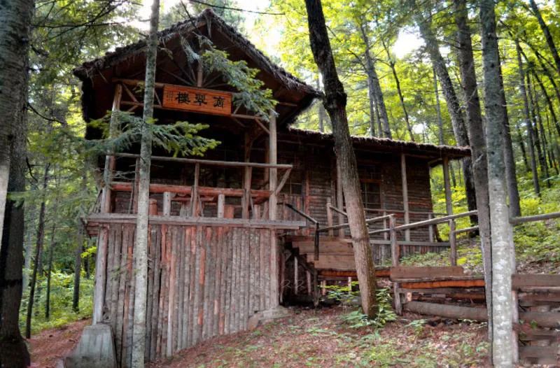 仙鹤起舞水粉画,仙鹤起舞展翅飞