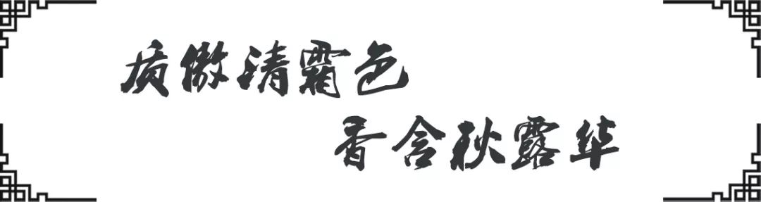 成电女神，就是美！