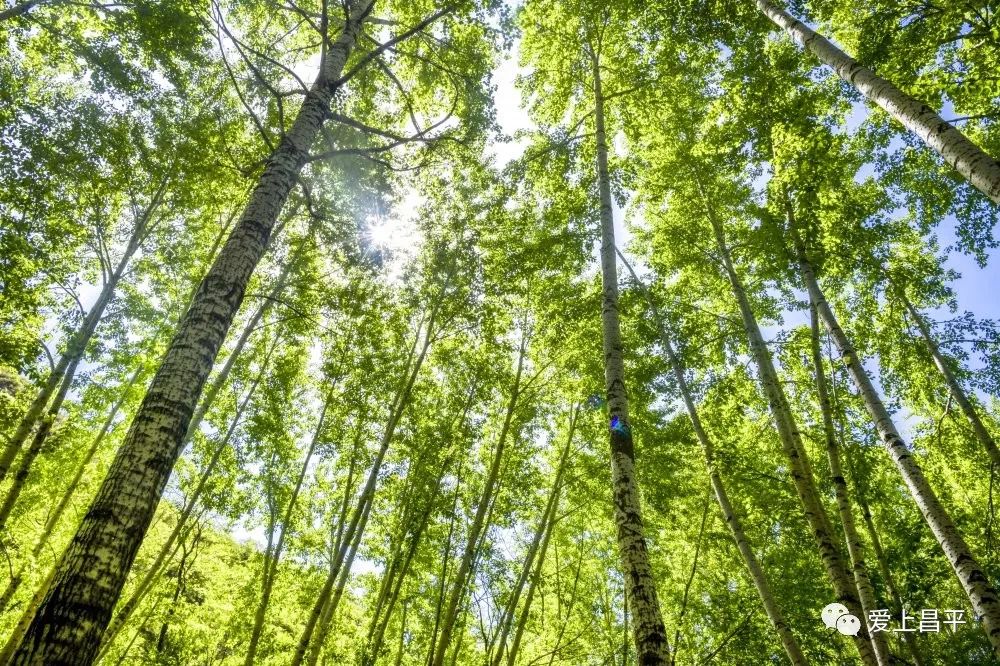 昌平游玩有山有水的地方推荐,昌平旅游攻略必去的地方