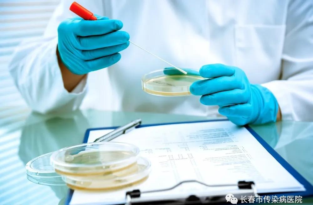 微生物手工报告单怎么看,微生物化验单怎么看