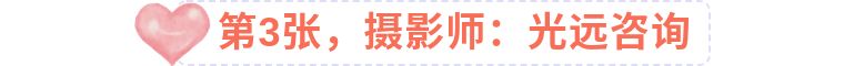 手机拍出人像大片的照片技巧,手机拍出清晰照片的20个技巧