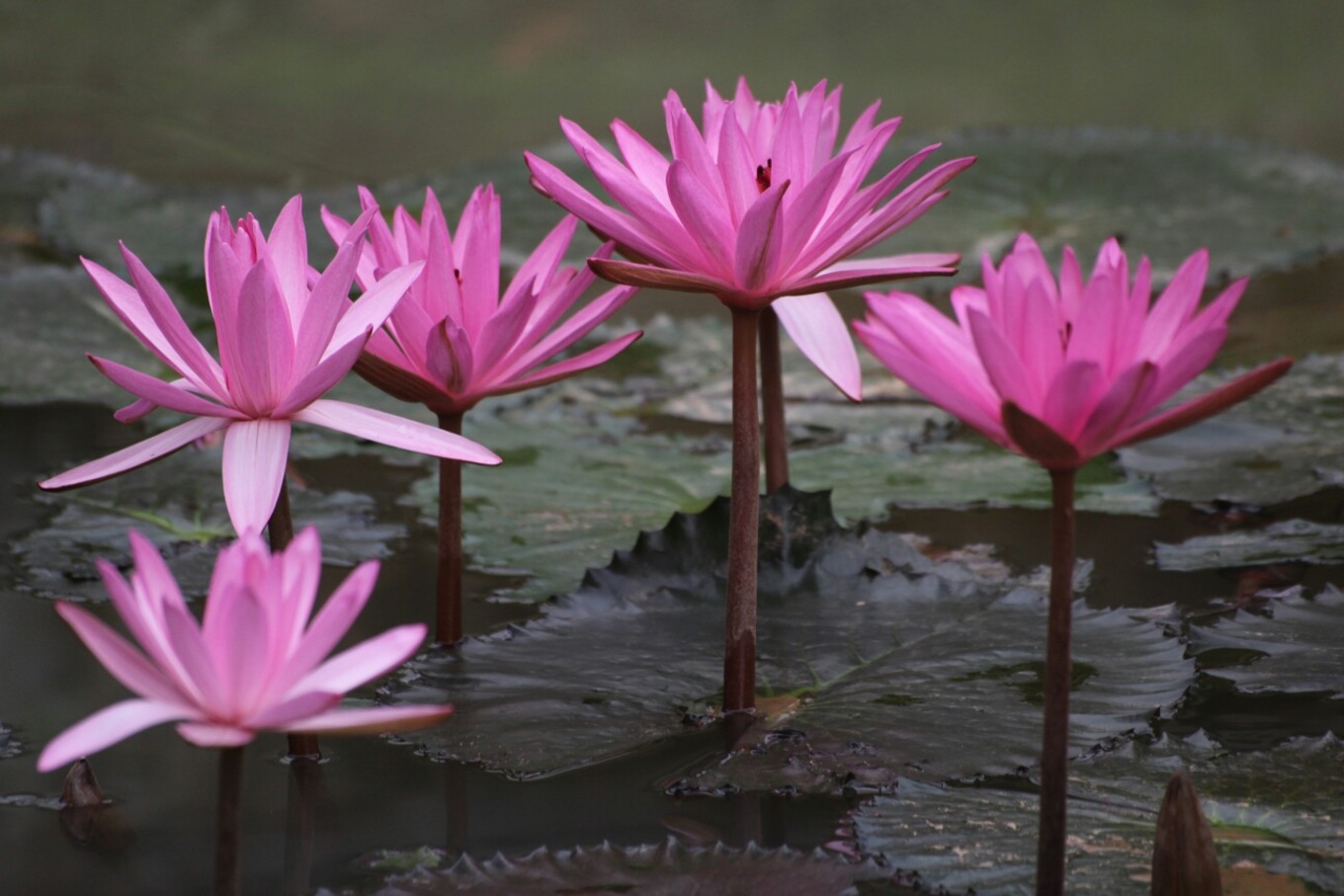 20161218桂林洋大学城返校记（那一年的海口青年户外）