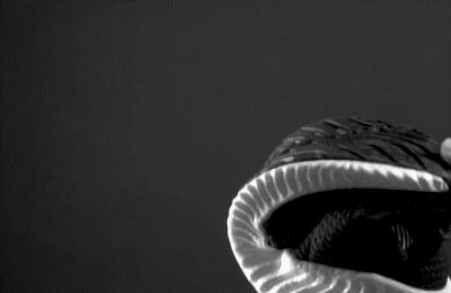 阿迪椰子鞋哪款好穿,脚感媲美椰子的国产鞋