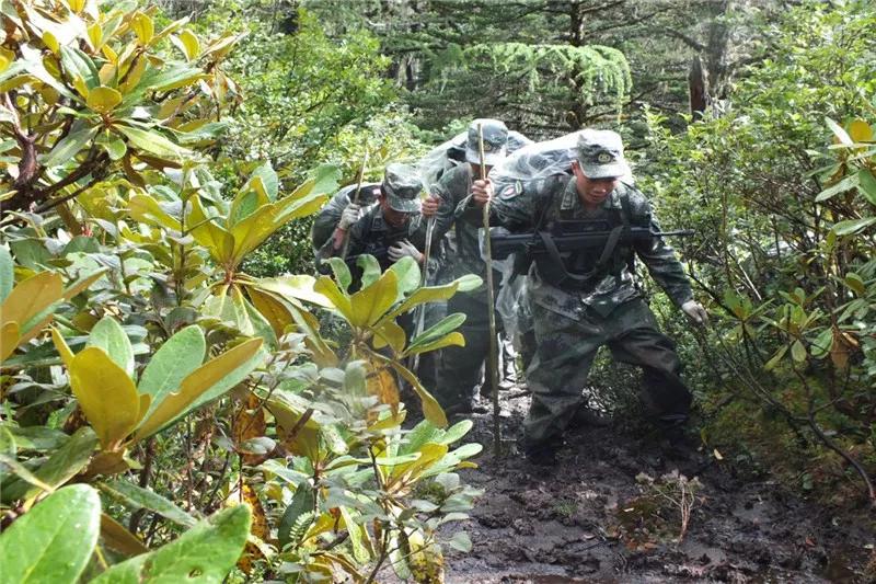 100张中国海防巡逻图,看哭了盘点中国军人的戳泪瞬间