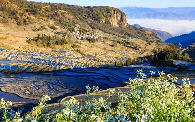 年轻人需要梦想的句子,年轻时有梦想的句子