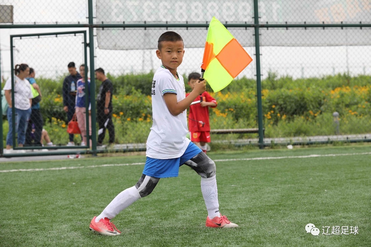 国足教练扬科维奇是实德哪个外援,大连实德扬科维奇与天津刘学宇