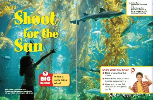 幼儿园3-6岁英语启蒙课程,国际幼儿园英语对孩子有什么帮助