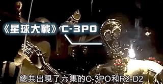 明星购物福利秒杀款,明星捡漏大赏完整视频