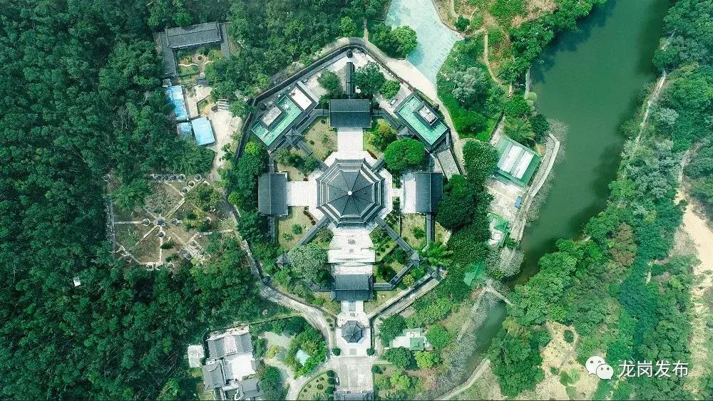 春天该很好，倘若你在场！龙岗最“花心”的地方是……