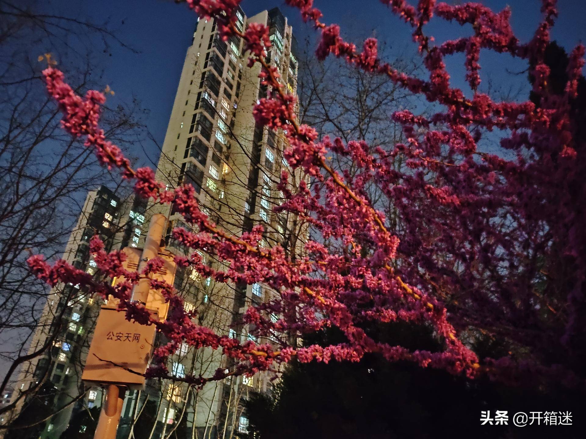 oppo2019首款新作reno标准版测评,oppo全球首款双潜望值得入手吗