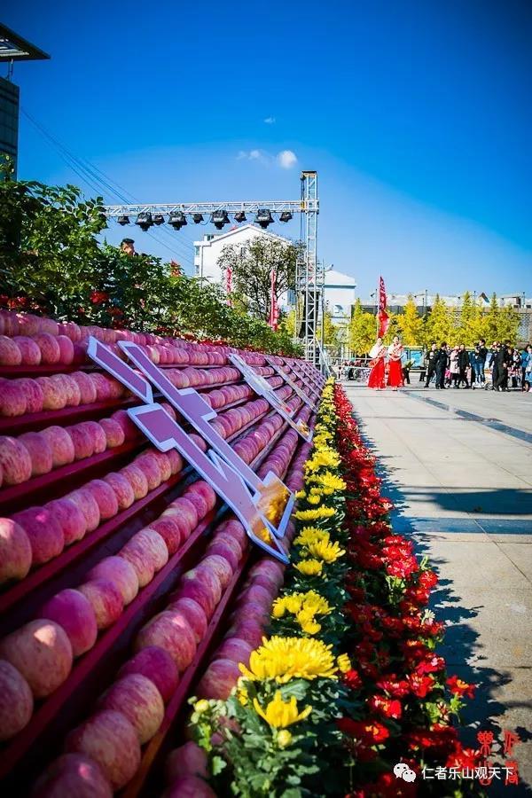 花卉蔬菜制作教程,花卉怎么做