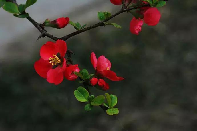 宋扬小说欣赏——生活用力过猛