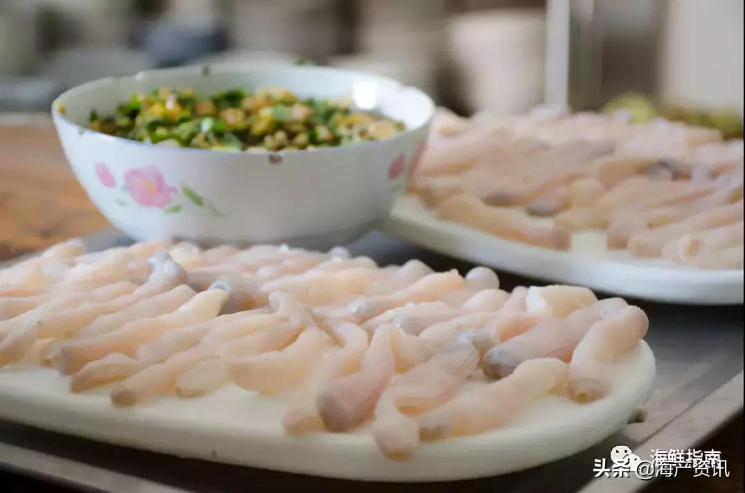 可以吃的海虫都有哪些,沙虫海肠的区别