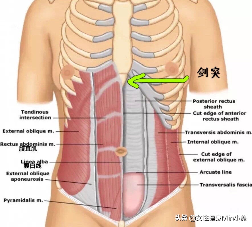 产后腹直肌分离危害动态视频,产后腹直肌分离这些动作都不能做