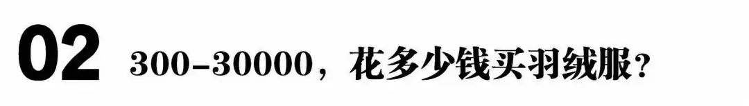 从一百到一千的羽绒服怎么选,男大牌羽绒服怎么选