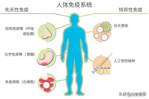 风力发电的对生态的危害,风力发电污染环境的危害
