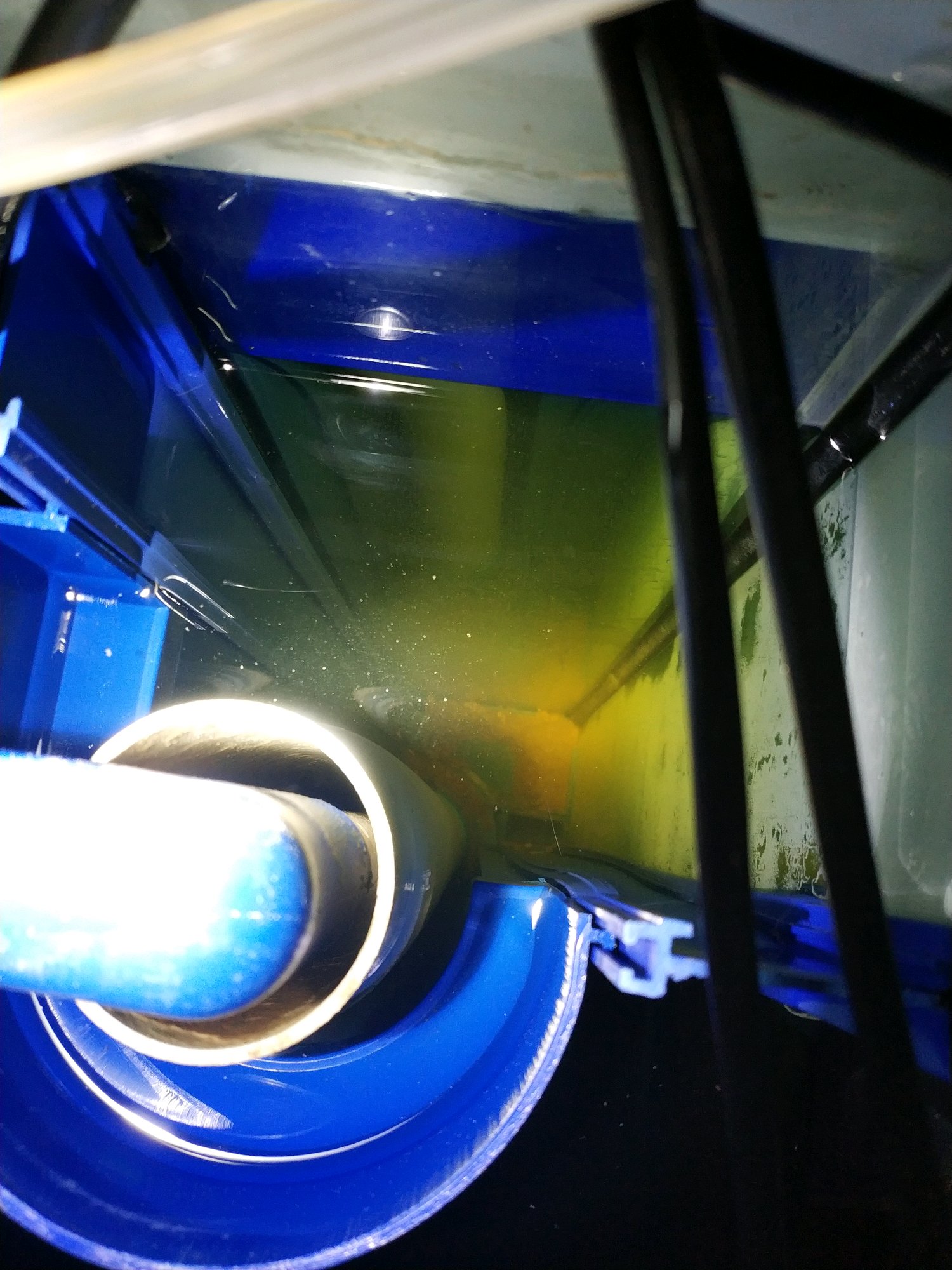 底滤鱼缸里鱼粪排不出去,底滤鱼缸鱼屎吸不走怎么办