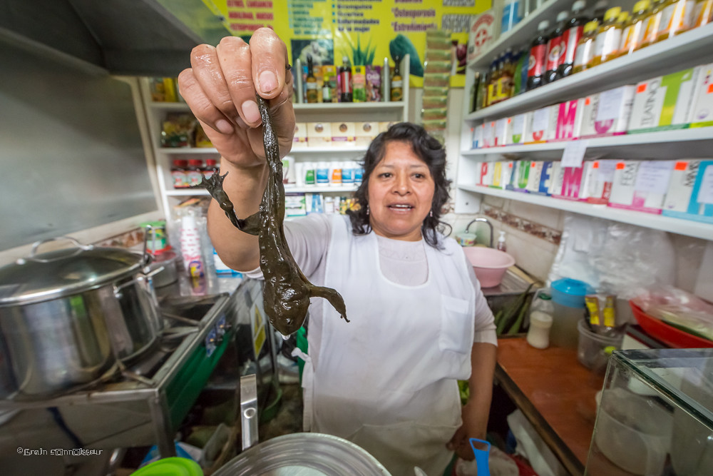 把青蛙榨成汁,秘鲁鲜榨青蛙的做法