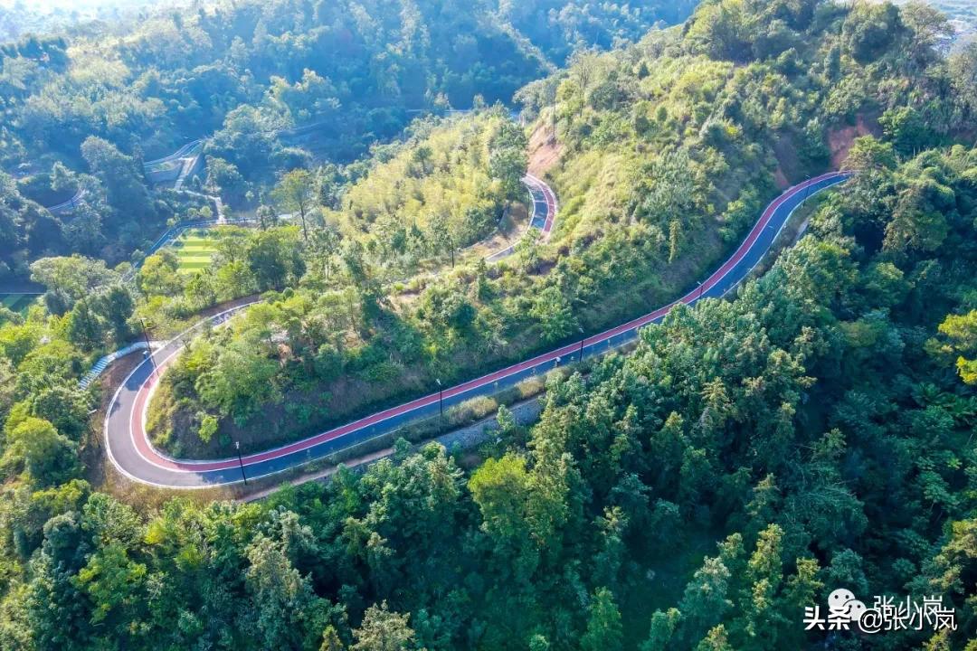 藏在森林里的儿童乐园,韶关市森林公园儿童游玩项目