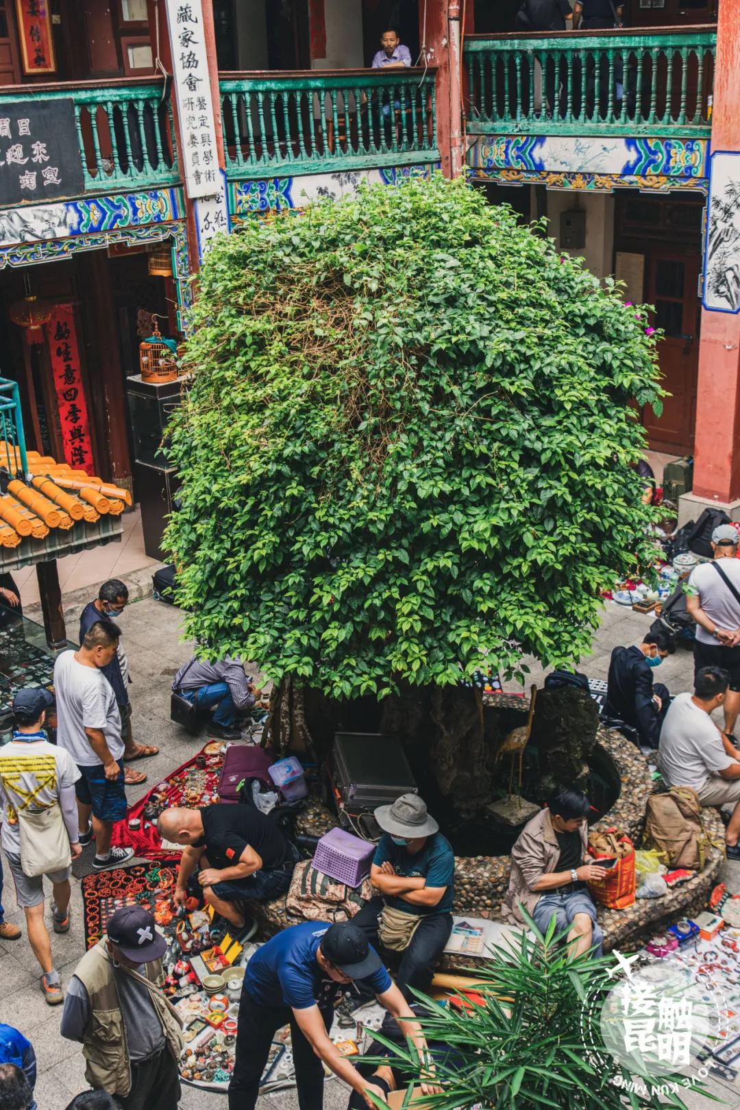 昆明古玩市场哪个市场最热闹,昆明的古玩市场在哪里