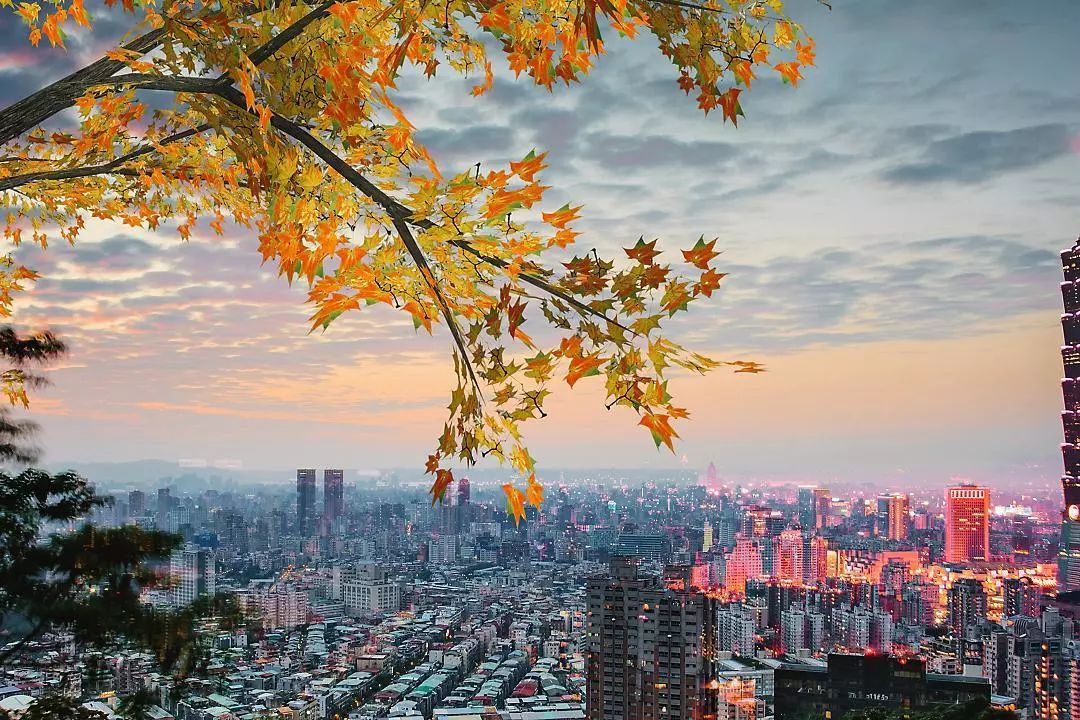 国内9家文华东方,中国几家文华东方