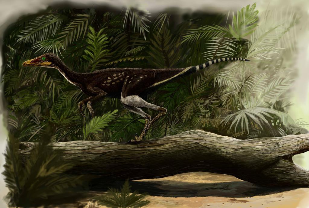 中国的最强恐龙是什么恐龙,中国已发掘的最大恐龙叫什么恐龙