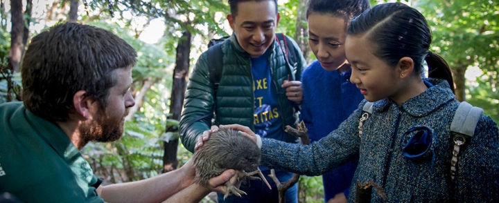 北欧婚礼旅拍流程,国外婚礼旅行策划方案