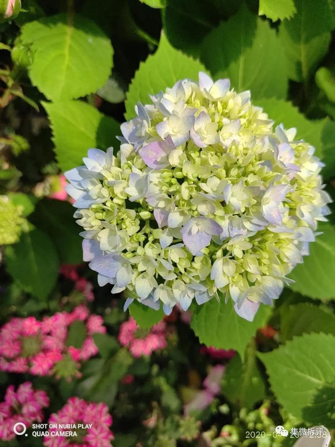 努比亚play和红米note10pro哪个好,努比亚play详细细节测评