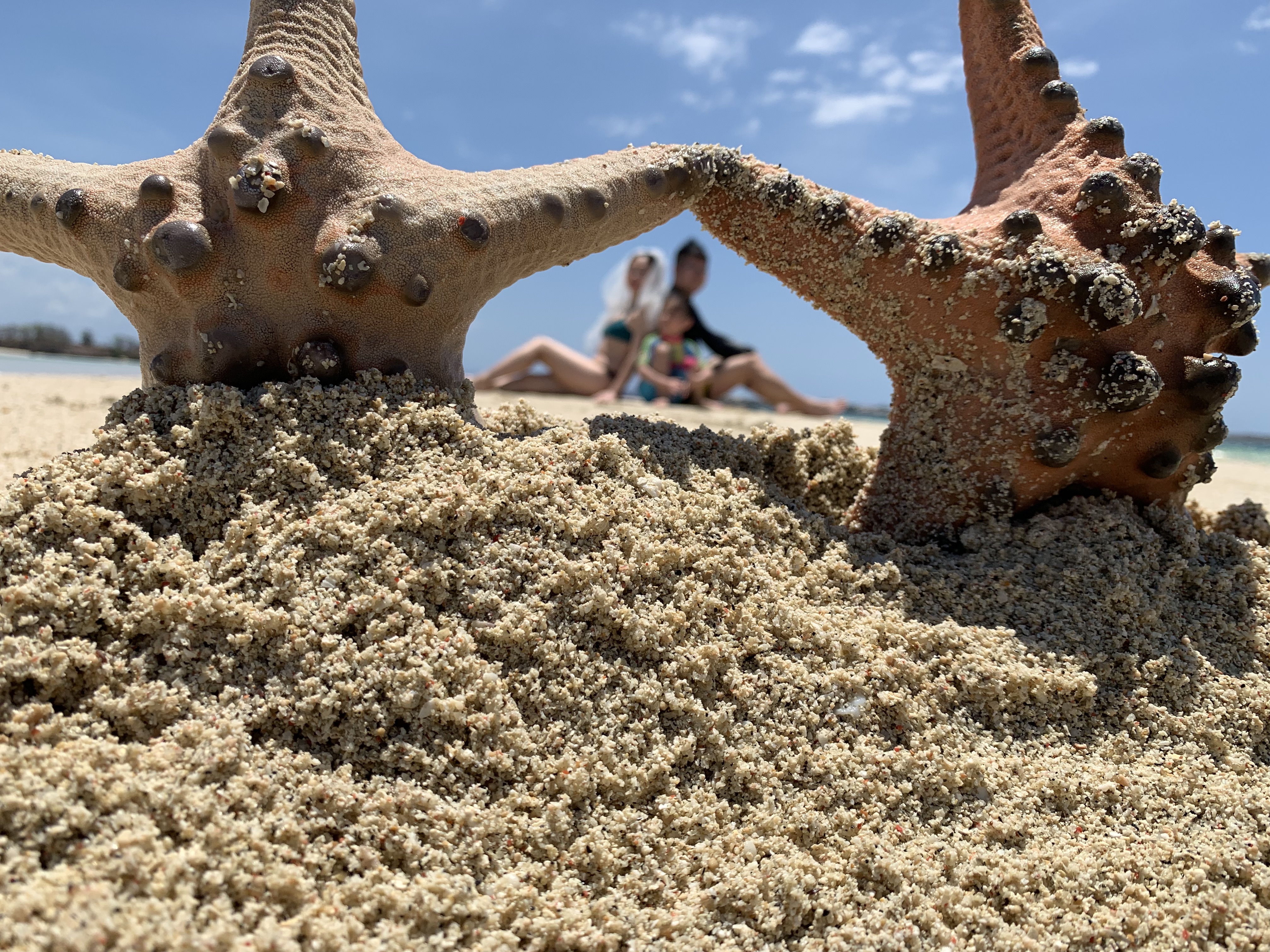 冬季海岛旅行推荐,海岛旅游攻略冬季