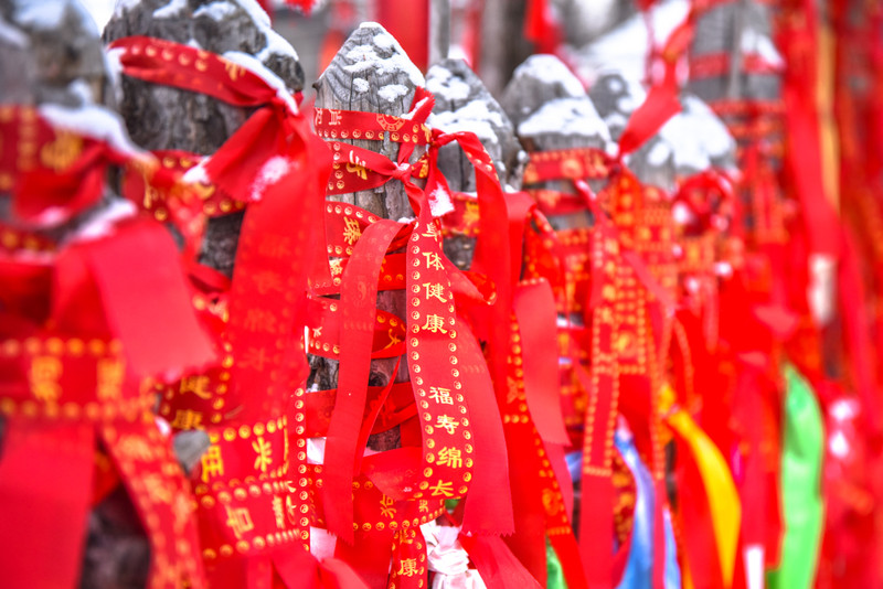 冰雪总动员简介,冰雪总动员