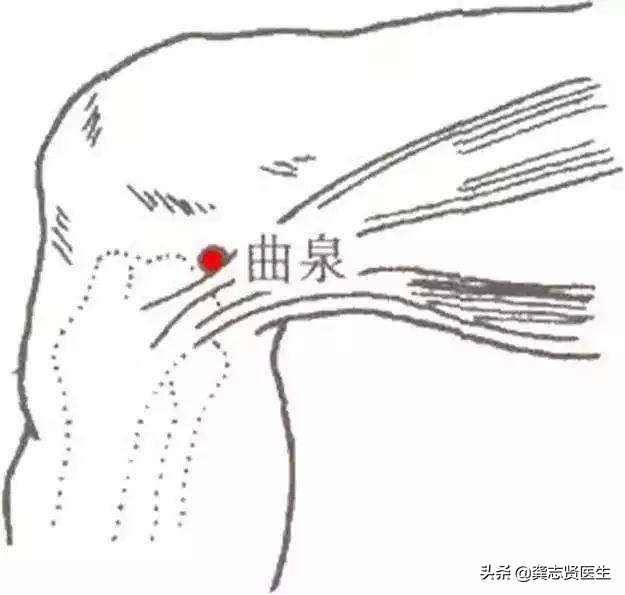 腿疼腿抽筋按哪个穴位,治疗腿脚抽筋特效穴位