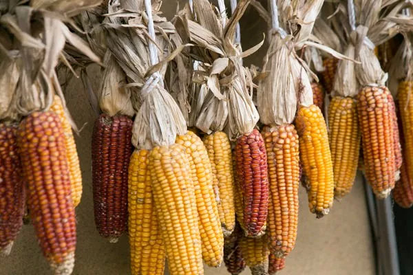 外行去别府，内行来黑川：置之死地而后生，九州最好玩的温泉街