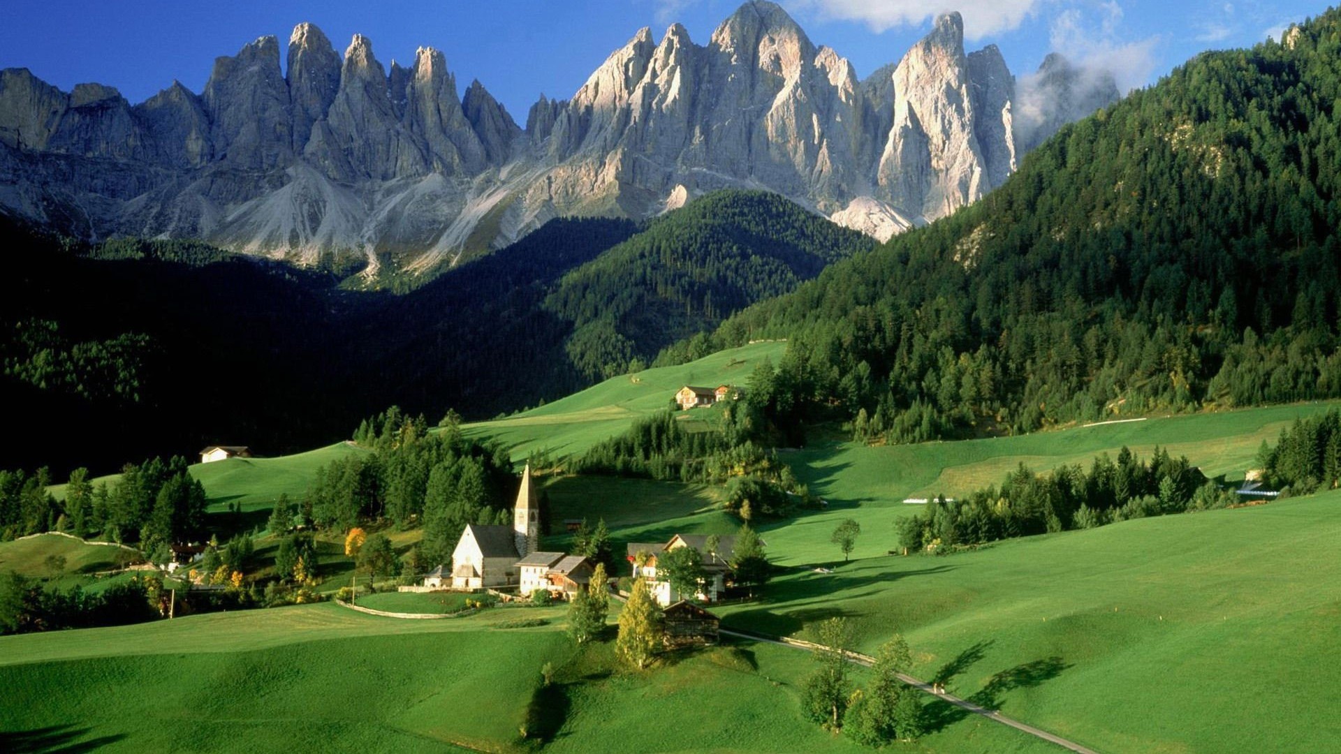 自信骄傲狮子座,自信骄傲的狮子座