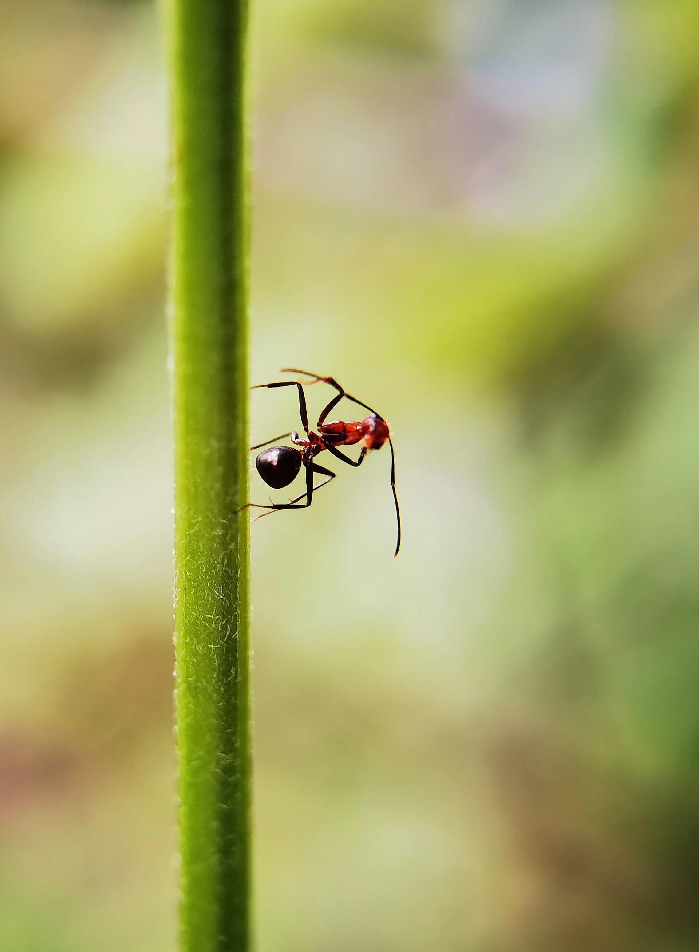 手机摄影手册圈友作品选第5期,手拍世界摄影交流平台