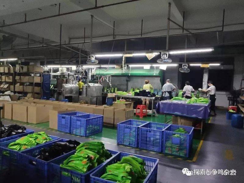 党员在越南,越南干部真实生活