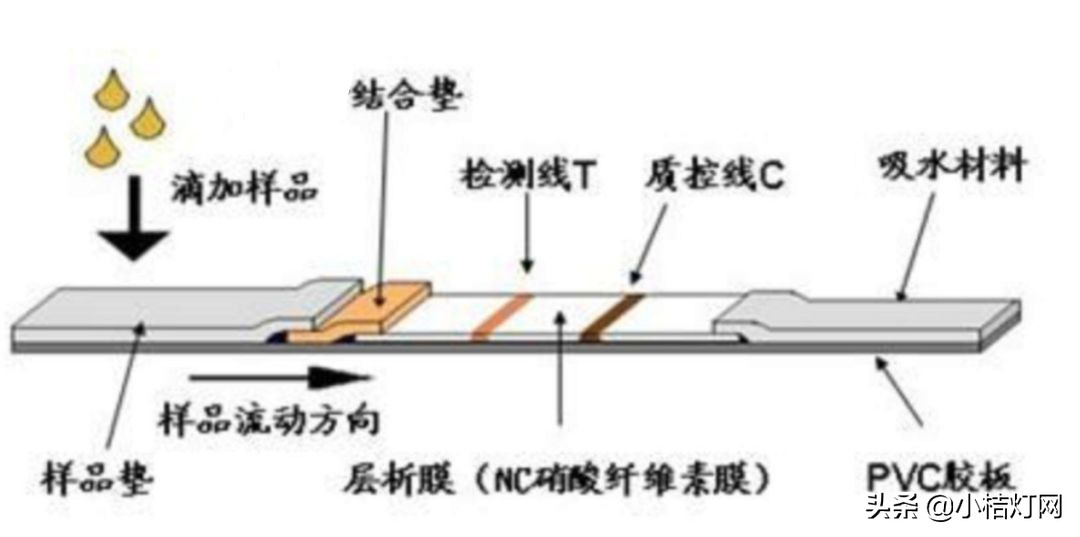 ivd试剂多少钱一盒,ivd试剂盒价格