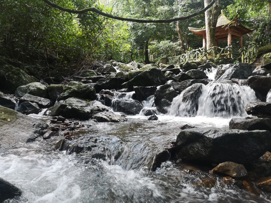 海南琼中橙多少钱一斤,海南琼中橙橙农场