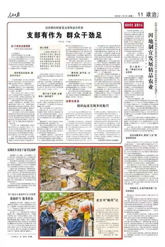 高端媒体看磁县,高端媒体看邢台新华社