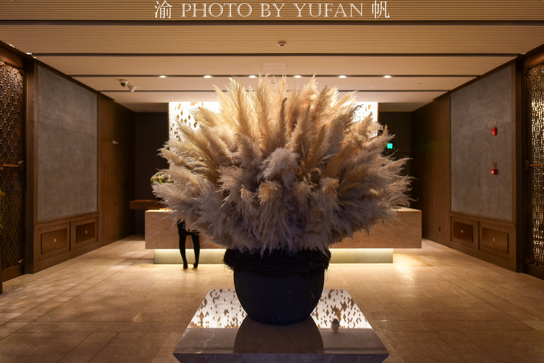 推荐一家重庆的无敌江景酒店,重庆最可以体验重庆山城的酒店