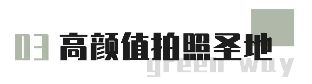 又发现深圳一个“绝美打卡地”!“淘金”绿道,人少免费