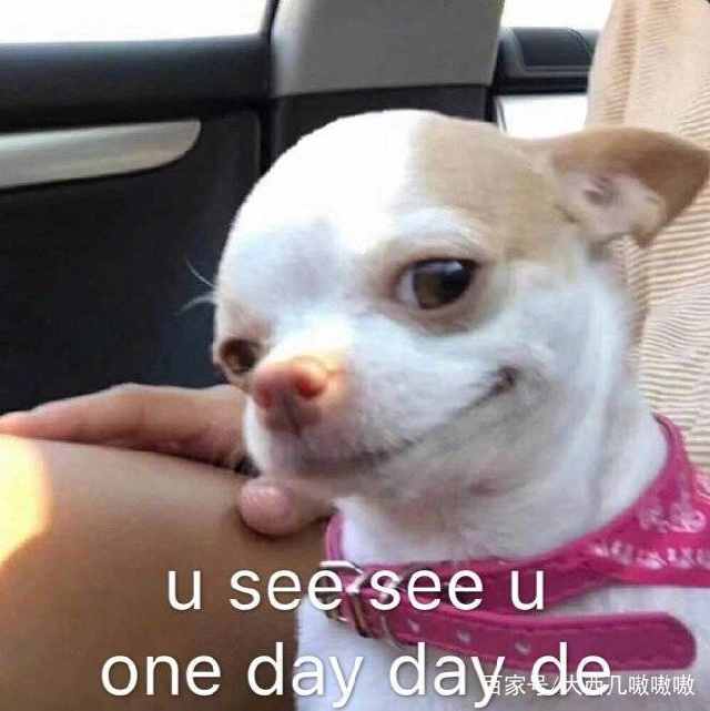 表情包我能怎么办,表情包我能怎么办呢