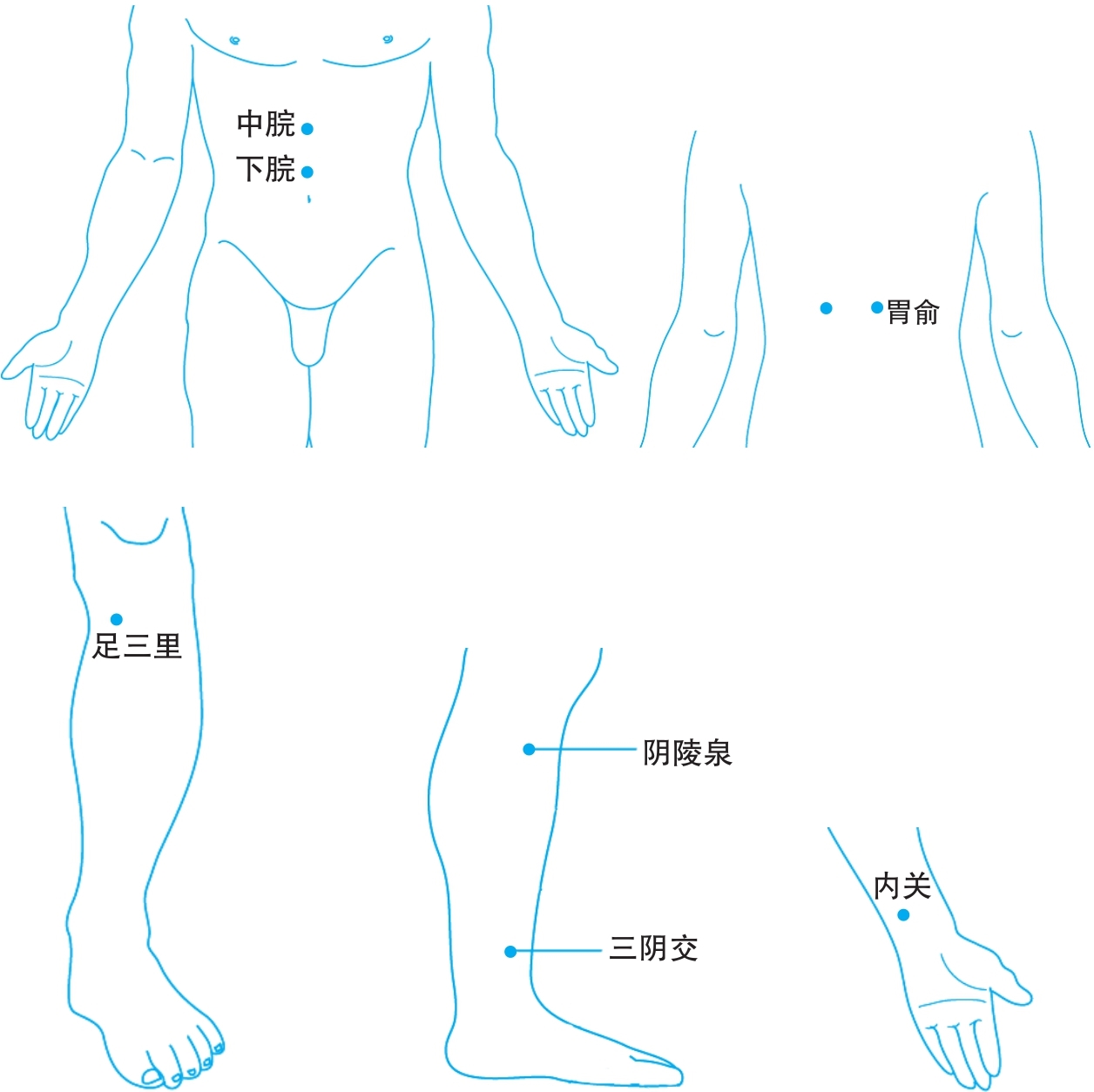 刮痧的穴位治疗脾胃,胃发胀刮痧找哪些穴位