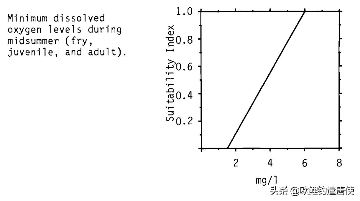 夏季下雨过后钓鱼应如何选择钓位,夏季垂钓这3个钓位上鱼超多