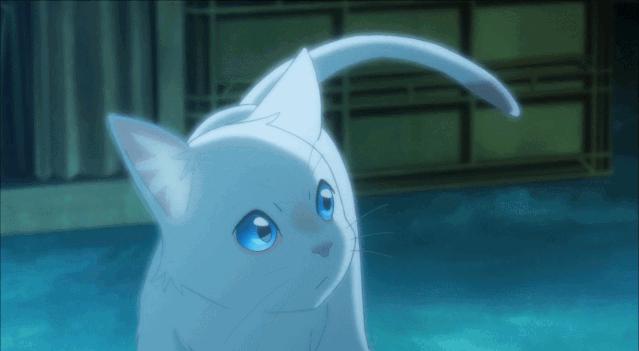 这部温情的撸猫片，让我哭得溃不成军，这是全世界猫*党**的胜利