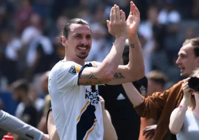 伊布历任女友,伊布女友